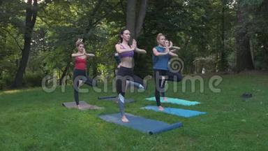 公园里的<strong>瑜伽</strong>或普拉提，一群不同年龄的妇女在早上站着做不同的姿势。团队<strong>合作</strong>，运动